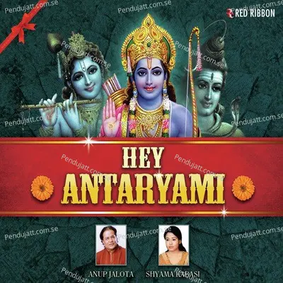 Mera Man Vrindavan - Anup Jalota album cover 