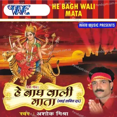 Chunariya Laal Bhawani - Ashok Mishra album cover 