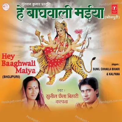 Hey Baaghwali Maiya - Sunil Chhaila Bihari cover album