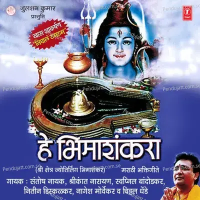 Nighal Tumtum Bhimasankrala - Shrikant Narayan album cover 