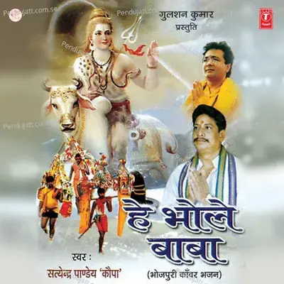 Goonje Jai Jaikaar - Satyendra Pandey Kopa album cover 