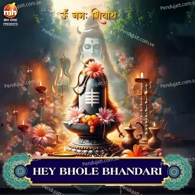Hey Bhole Bhandari - Vipin Sachdeva album cover 