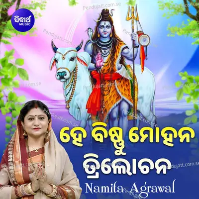 Hey Bishnu Mohan Trilochana - Namita Agrawal album cover 