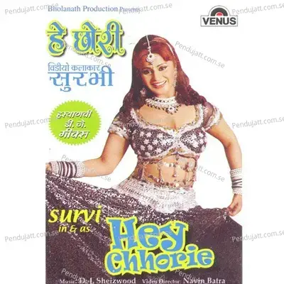 Dam Dam Baje Dhol - Meenakshi Panchal album cover 