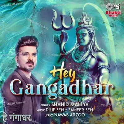 Hey Gangadhar - Shahid Mallya album cover 