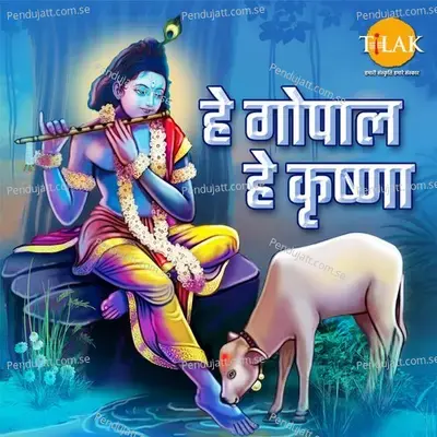 Shyam Sakha Tu Hai Soone Naino Ka Ujiyara - Ravindra Jain album cover 