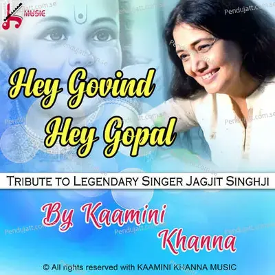 Hey Govind Hey Gopal Tribute To Jagjit Singh Remix - Kamini Khanna album cover 