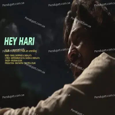 Hey Hari - Krushan Doshi album cover 