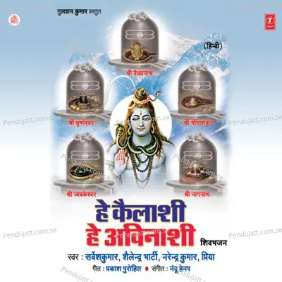 Hey Kailashi Hey Avinashi - Sarvesh Kumar cover album