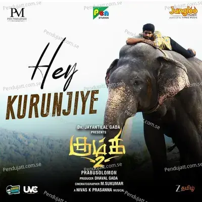Hey Kurunjiye (From 