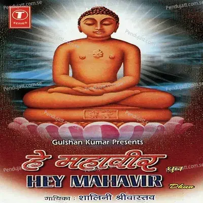 Hey Mahaveer - Shekhar Sen album cover 