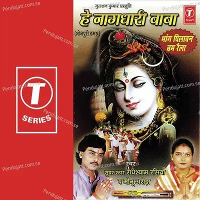 Hey Naagdhaari Baba - Meenu Arora cover album
