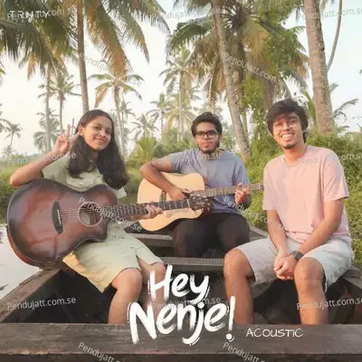 Hey Nenje - Acoustic - TRNTY album cover 