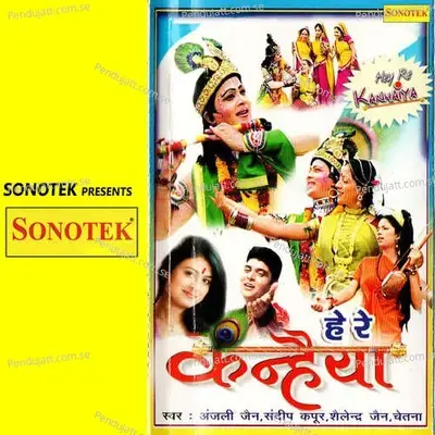 Hey Re Kanhaiya - Kailash Ji Max cover album