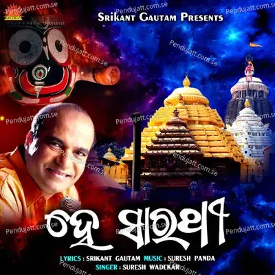 Hey Sarathi - Suresh Wadekar album cover 