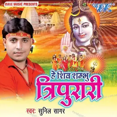 Aa Gaile Dulahawa - Sunil Sagar album cover 