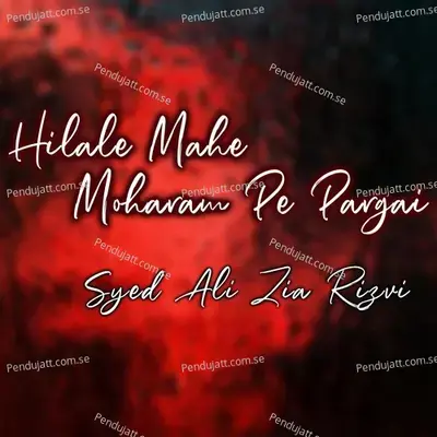 Abbas Kaha Ho - Syed Ali Zia Rizvi album cover 