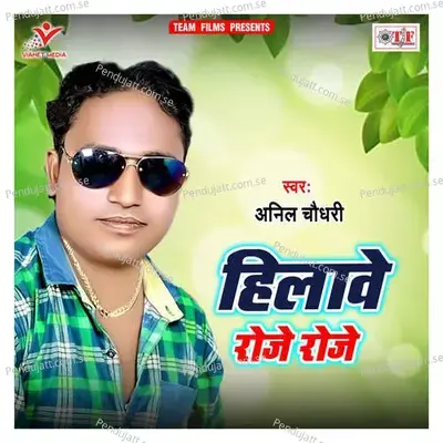 Khicha Ke Maralsh Palta Se - Anil Chaudhari album cover 