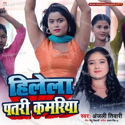 Hilela Patari Kamariya - Anjali Tiwari album cover 