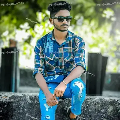 Hindi Tarpa Boss Musical - Sandip Davare album cover 