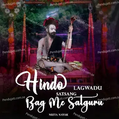 Hindo Lagwadu Satsang Bag Me Satguru - Neeta Nayak album cover 