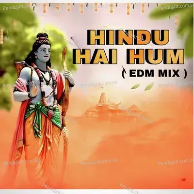 Hindu Hai Hum - Amit Baisla album cover 