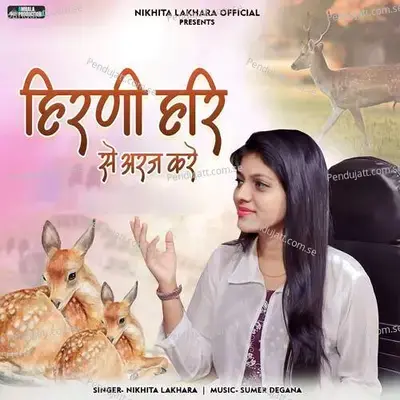 Hirni Hari Se Araj Kare - Nikita Lakhara album cover 