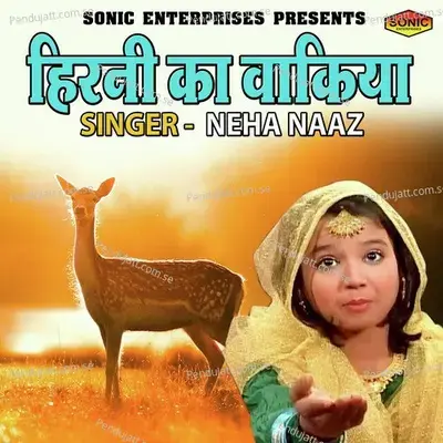 Hirni Ka Waqia - Neha Naaz album cover 