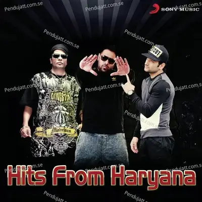 Sunle Chori - S.B. The Haryanvi album cover 