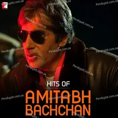 25 Saalo Se Mujhe Is Baat Ka Garv Raha Hai - Amitabh Bachchan album cover 