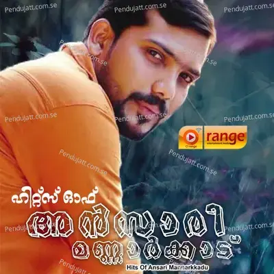 Dhoore Dhoore - Ansari Mannarkkad album cover 