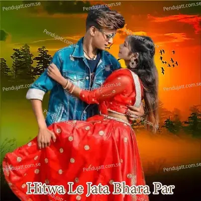 Hitwa Le Jata Bhara Par - Karisma Kakkar album cover 