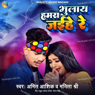 Hmra Bhulay Jaihe Re - Amit Ashik album cover 