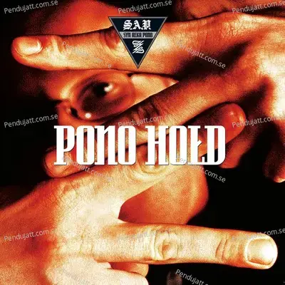 Ho  d - Pono album cover 