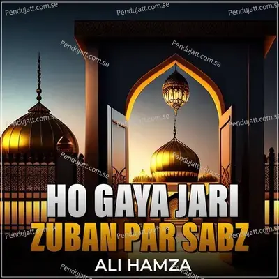 Ho Gaya Jari Zuban Par Sabz - Ali Hamza album cover 