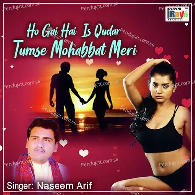 Ho Gayi Tumse Is Qadar Mohabbat - Naseem Arif album cover 