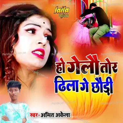 Ho Gelo Tor Dhila Ge Chhaudi - Amit Akela album cover 