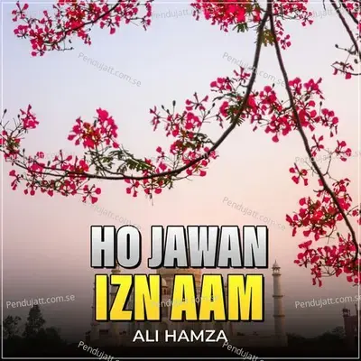 Ho Jawan Izn Aam - Ali Hamza album cover 
