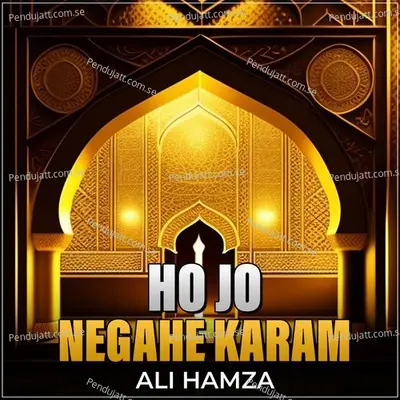 Ho Jo Negahe Karam - Ali Hamza album cover 