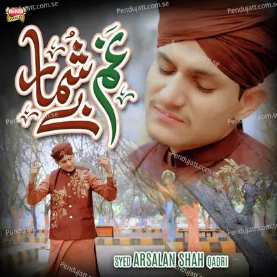 Ho Karam Sarkar - Syed Arsalan Shah Qadri album cover 