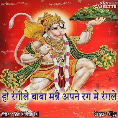 Ho Rangile Baba Maine Aapne Rang Mai Rangle - Vijay album cover 
