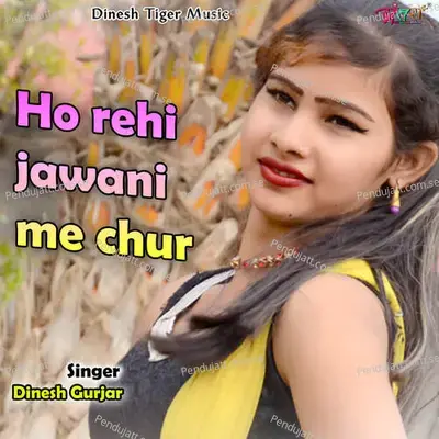 Ho Rehi Jawani Me Chur - Dinesh Gurjar album cover 