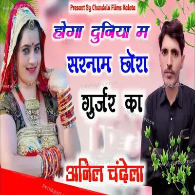 Hoga Duniya Me Sarnaam Chora Gurjar Ka - Anil Chandela album cover 