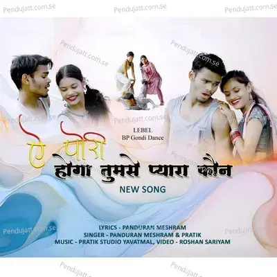 Hoga Tumse Pyara Koun A Pori - Pandurang Meshram album cover 