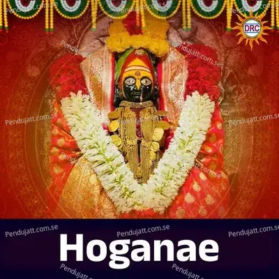 Hoganae - Anil album cover 