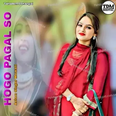 Hogo Pagal So - Aslam Singer Mewati album cover 