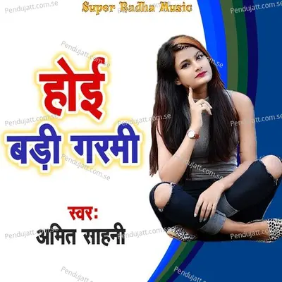 Hoi Na Milan Raja - Amit Sahni album cover 