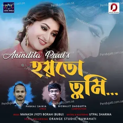 Hoitu Tumi - Anindita Paul album cover 