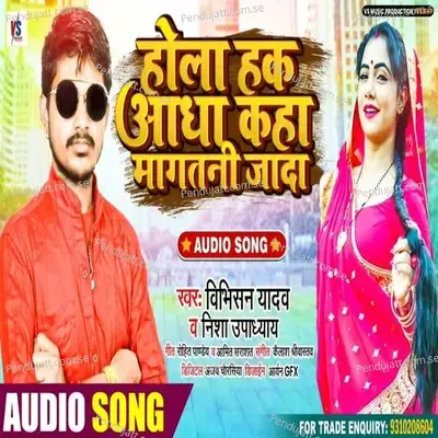 Hola Hak Aadha Kha Magtani Jada - Vibhishan Yadav album cover 