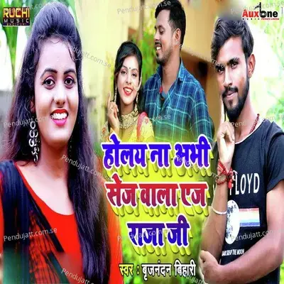 Holay Na Aabhi Sej Wala Age Raja Ji - Brijnanadan Bihari album cover 